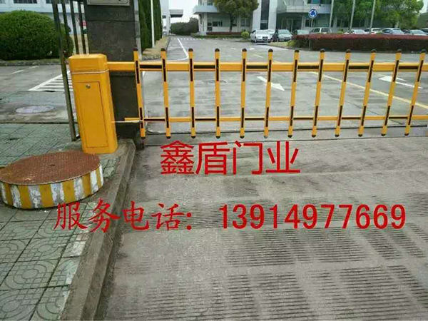 櫸樹(shù)